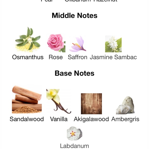 🛑SOLD🛑Amouage Guidance sample 2ml - Picture 2 of 7